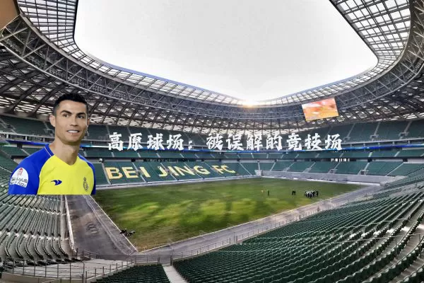 高原球场:被误解的竞技场